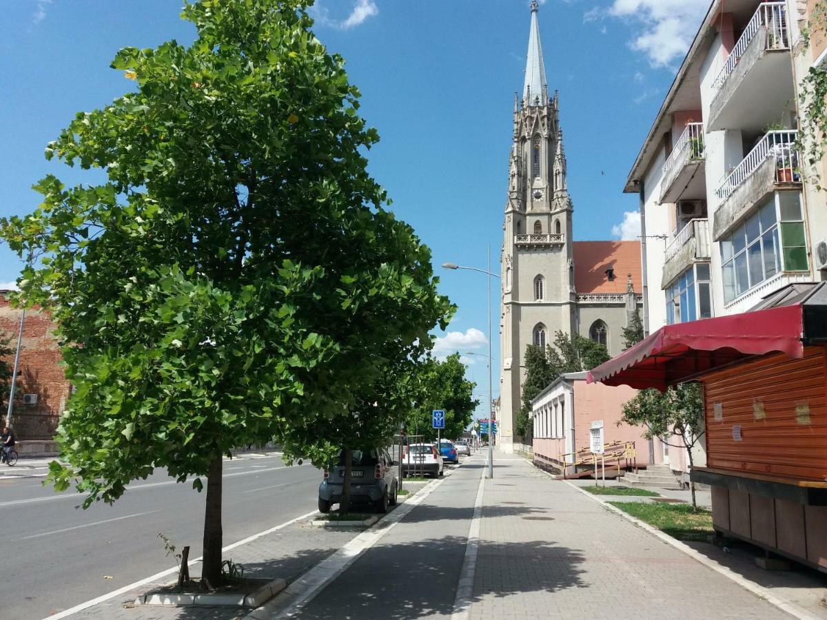 Appartamento Stan Na Dan Dunja 2 Vrsac Esterno foto
